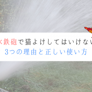 水鉄砲で野良猫を撃退してはいけない3つの理由と正しい使い方 野良猫撃退sos